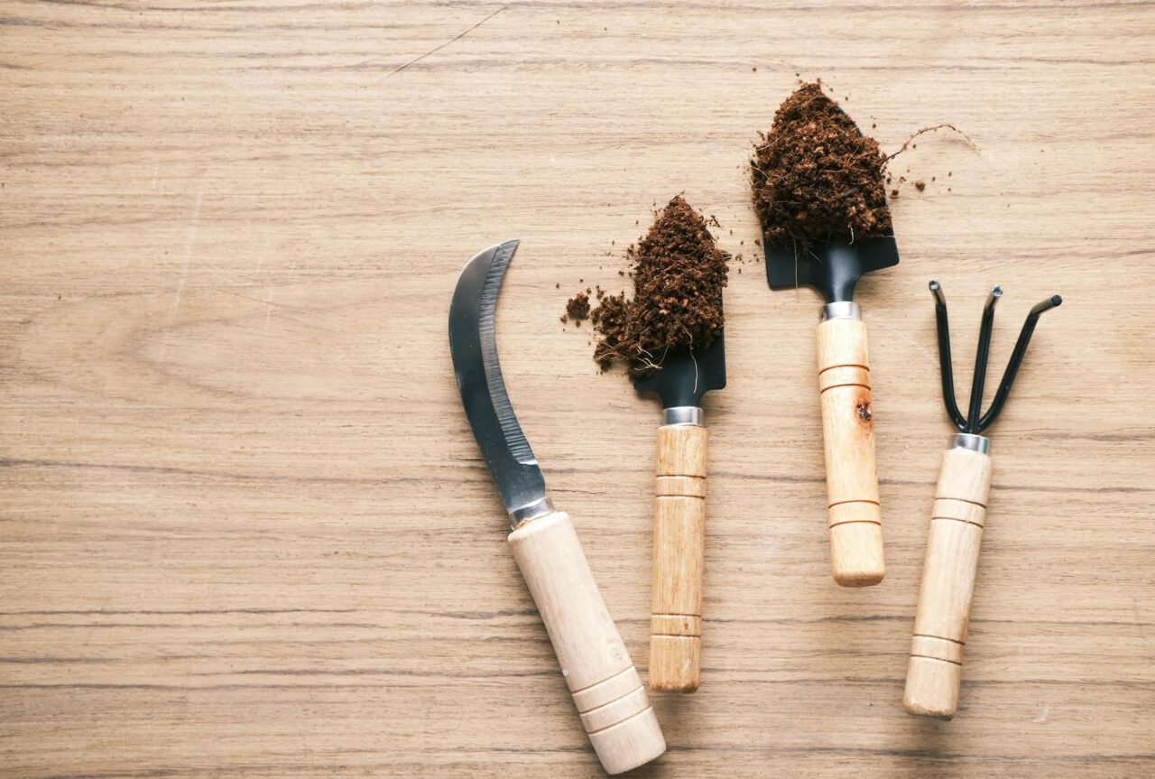 Basic vs Advanced Garden Tools: What’s Worth Buying