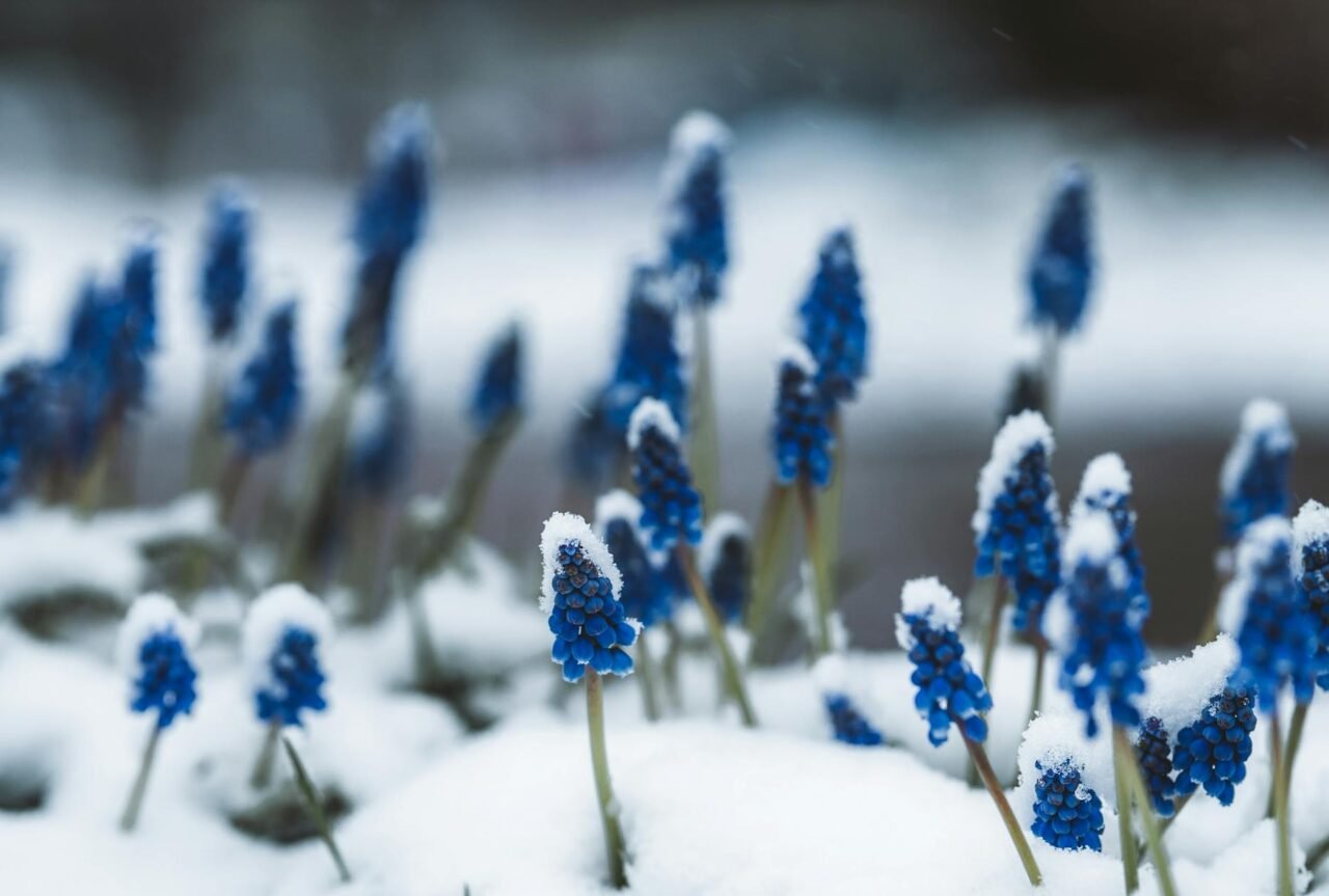 Spring Garden Reset: What to Do First After Winter