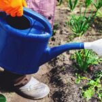 Manual vs Electric Garden Tools: Pros and Cons