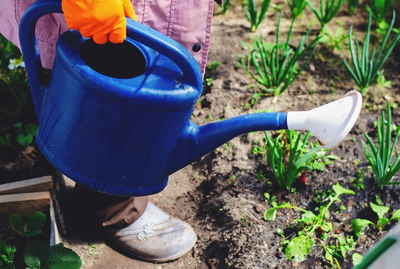 Manual vs Electric Garden Tools: Pros and Cons