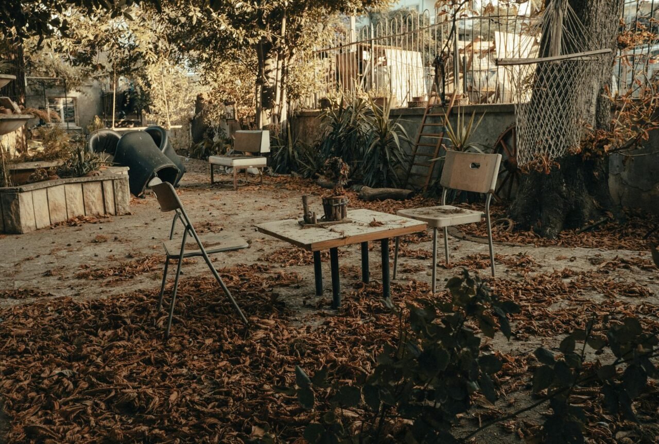 Case Study: From Neglected Garden to Seasonal Success