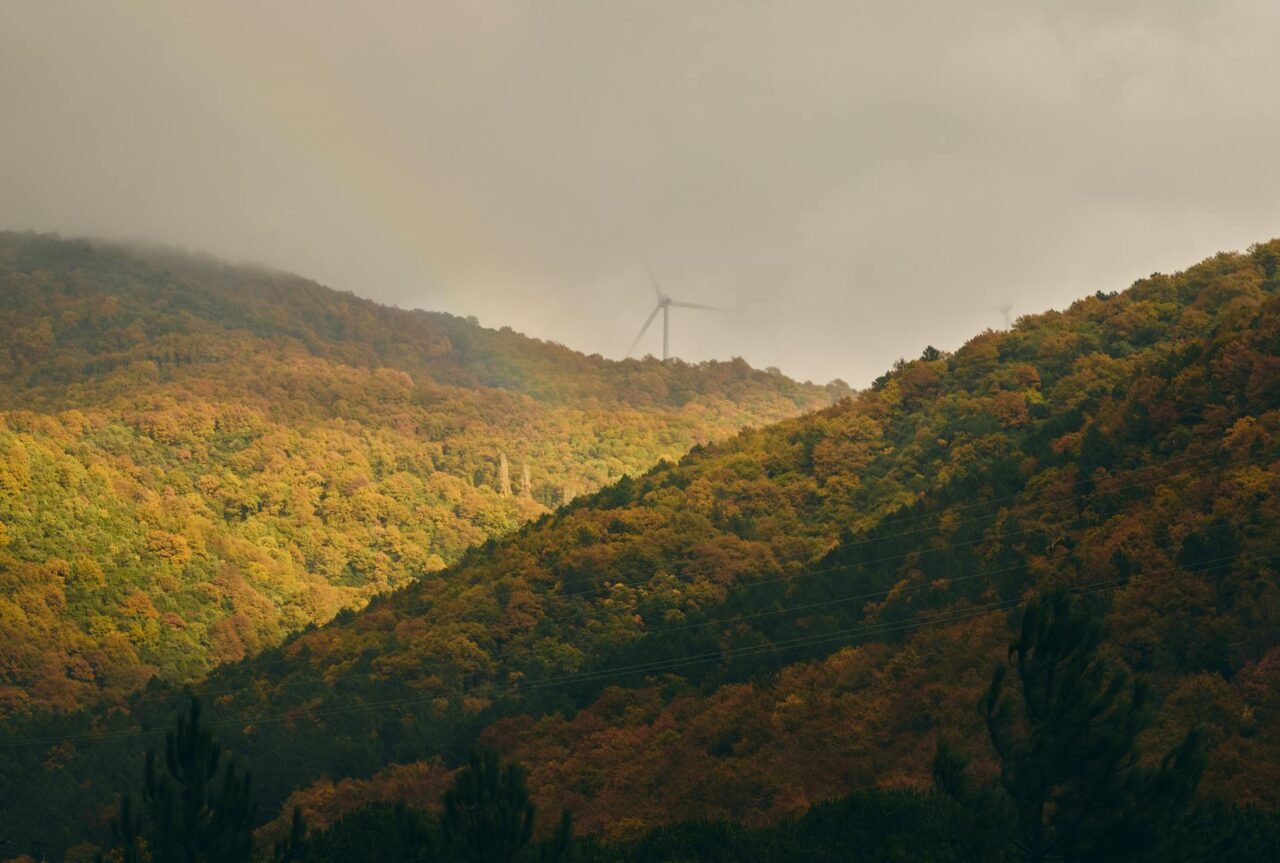 raised bed soil layers and gravel drainage channel.