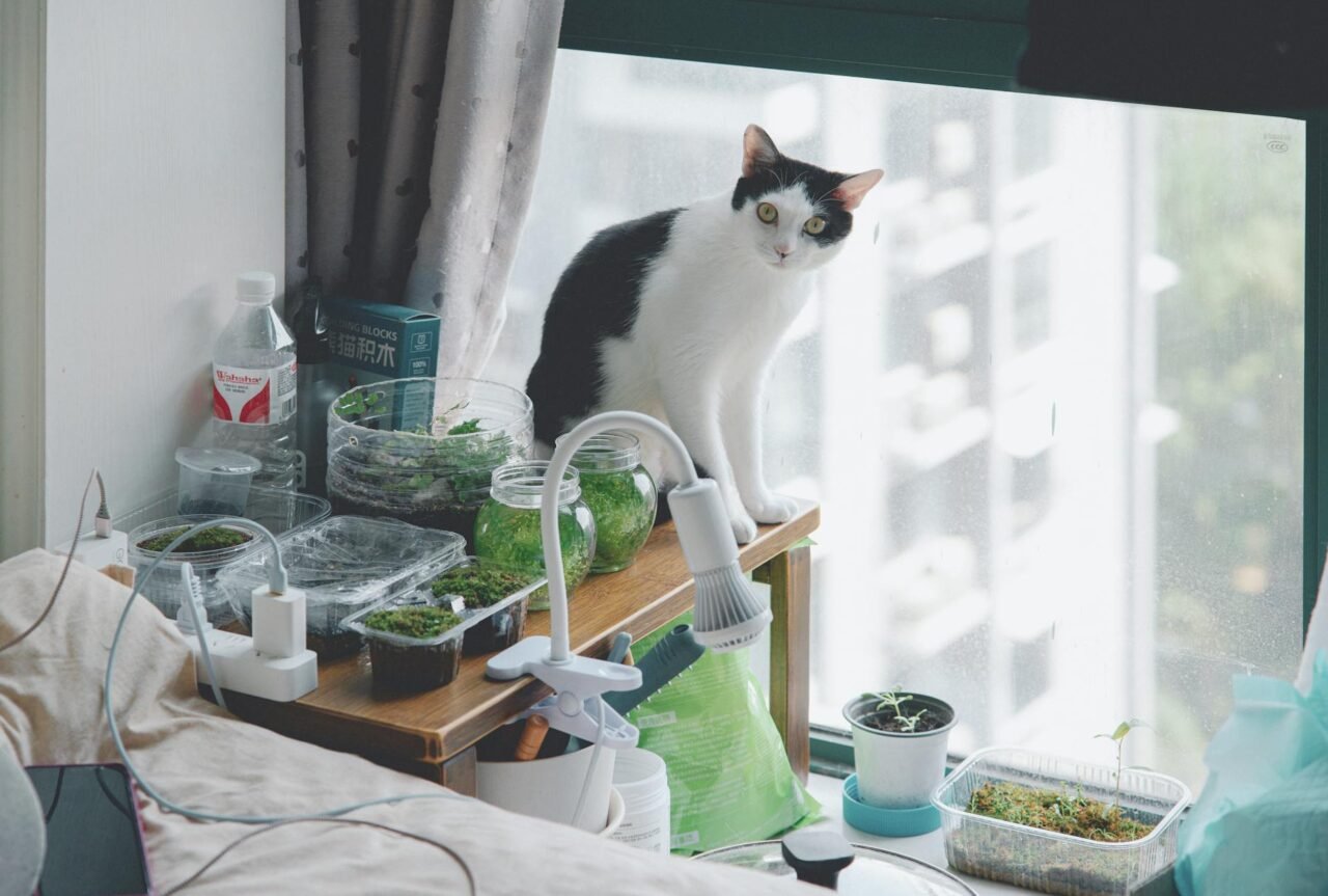 How Often Should You Water Container Plants? (Real Answer)