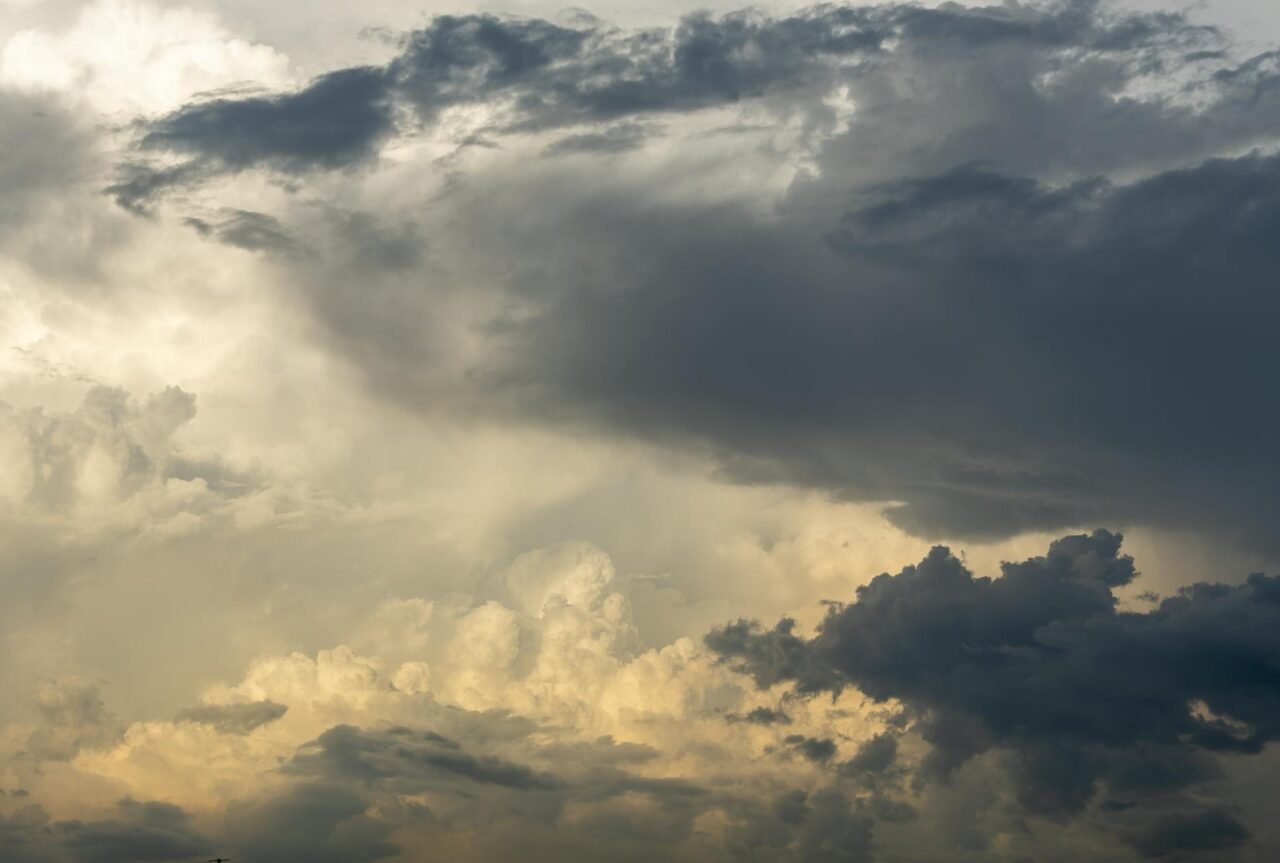 How Weather Changes Affect Plant Growth