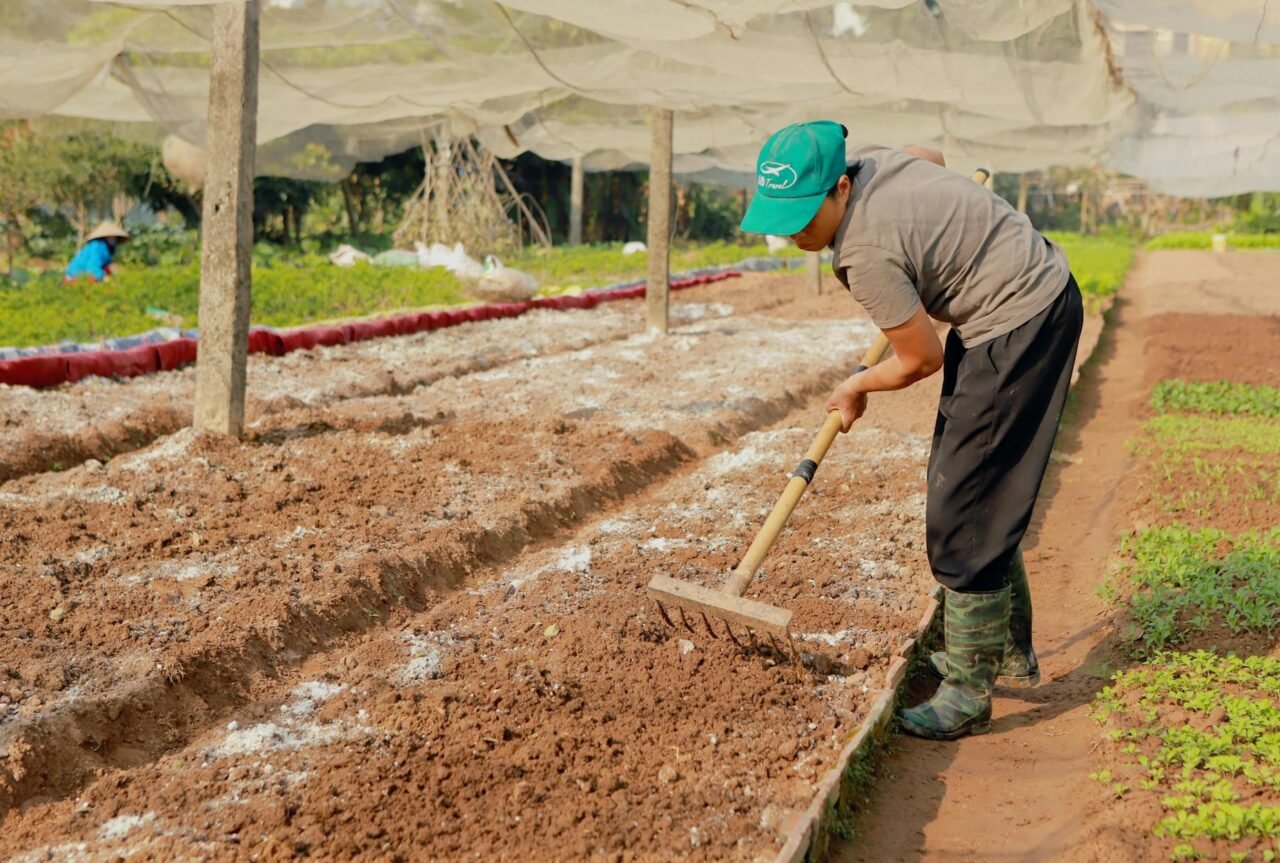 Manual vs Electric Garden Tools: Pros and Cons