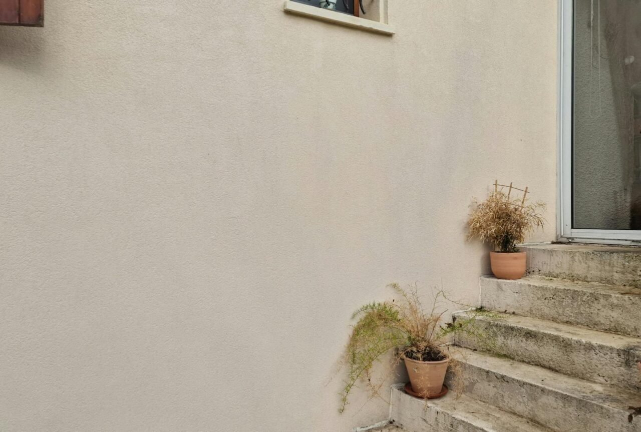 How to Revive a Dying Potted Plant Step by Step