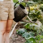 Planning Next Season’s Garden the Smart Way