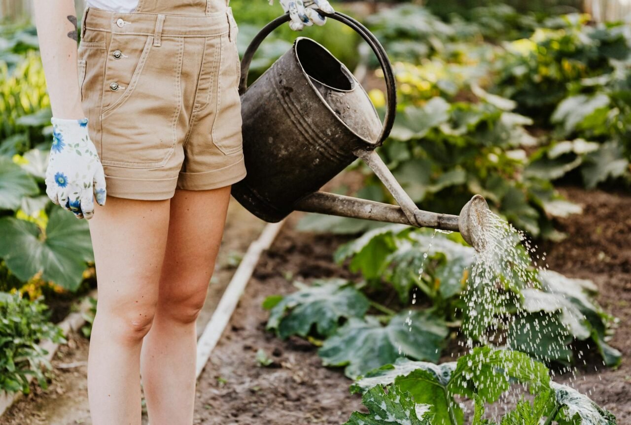 Planning Next Season’s Garden the Smart Way