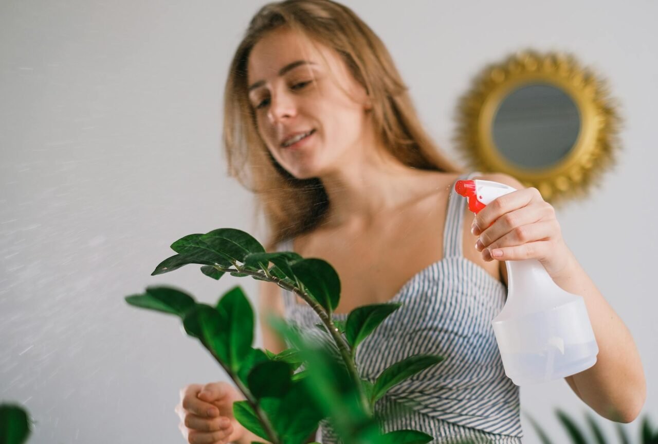 Summer Plant Care Routine for Healthy Growth